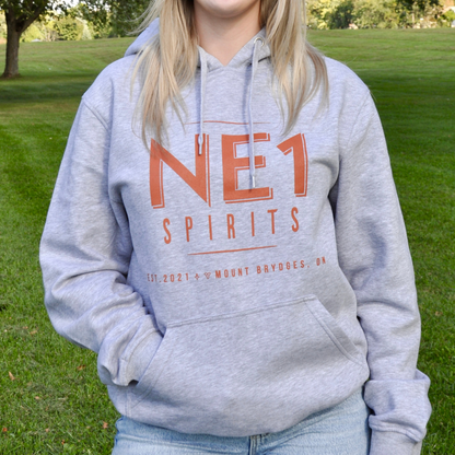Grey NE1 Hoodie