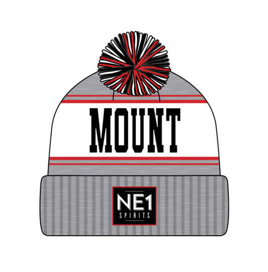 NE1 Toboggan Toque - Grey